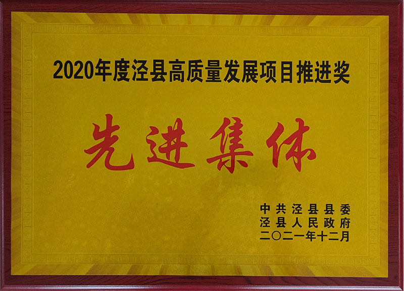 2020年度涇縣高質(zhì)量發(fā)展項目推進(jìn)獎先進(jìn)集休